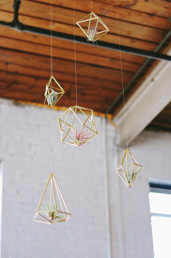 Les tillandsias ou “filles de l’air” comme décoration végétale