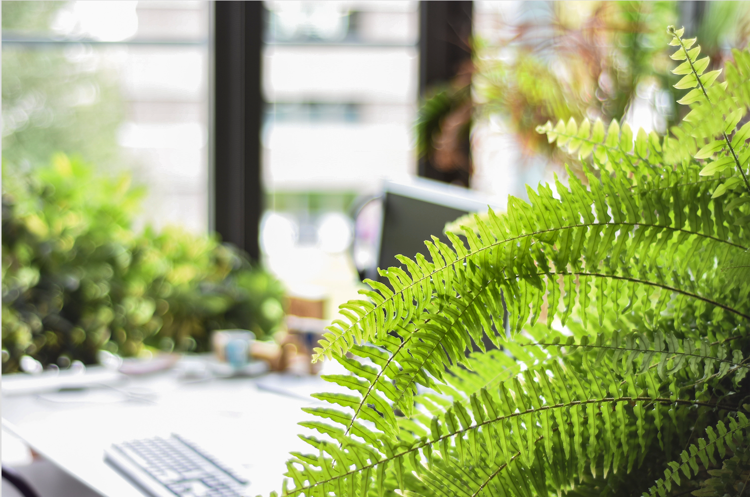 Verdir son milieu de travail : 5 aspects positifs