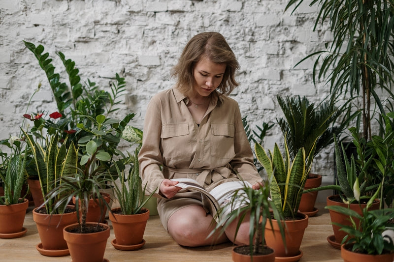 Guide de l'aménagement végétal pour designer d'intérieur