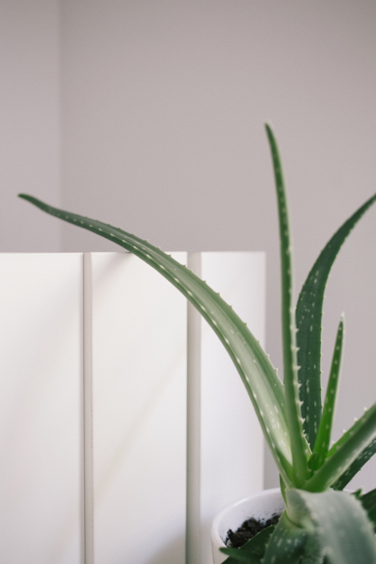 La toxicité des plantes