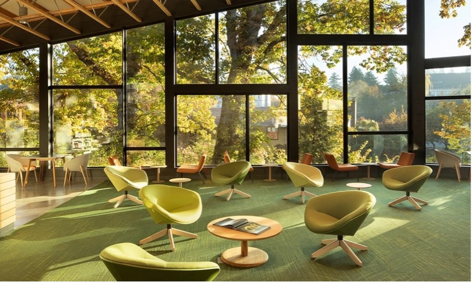 Qu’est-ce la biophilie et l’importance du design biophilique dans les espaces de travail