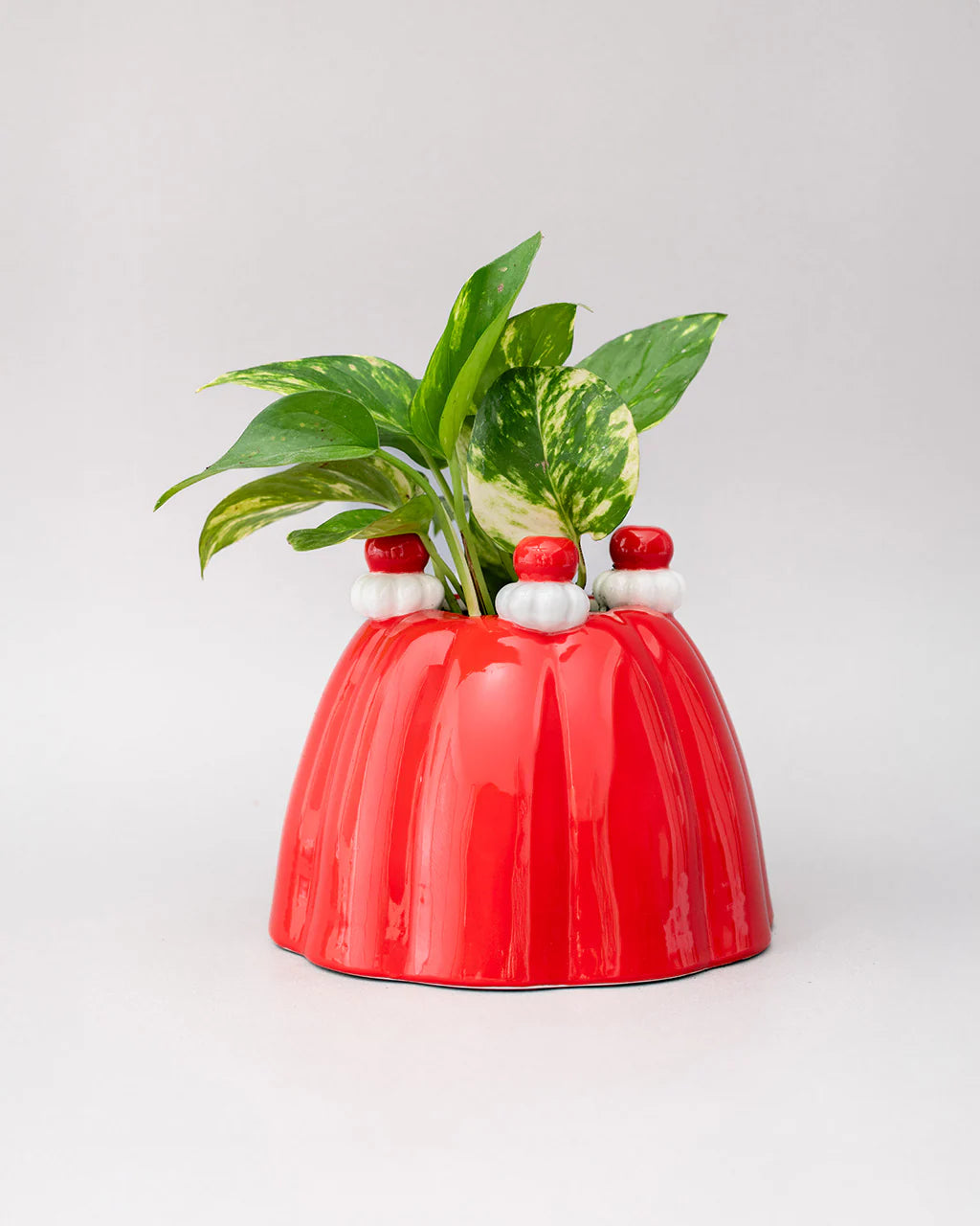 Vase Ban.do Jello