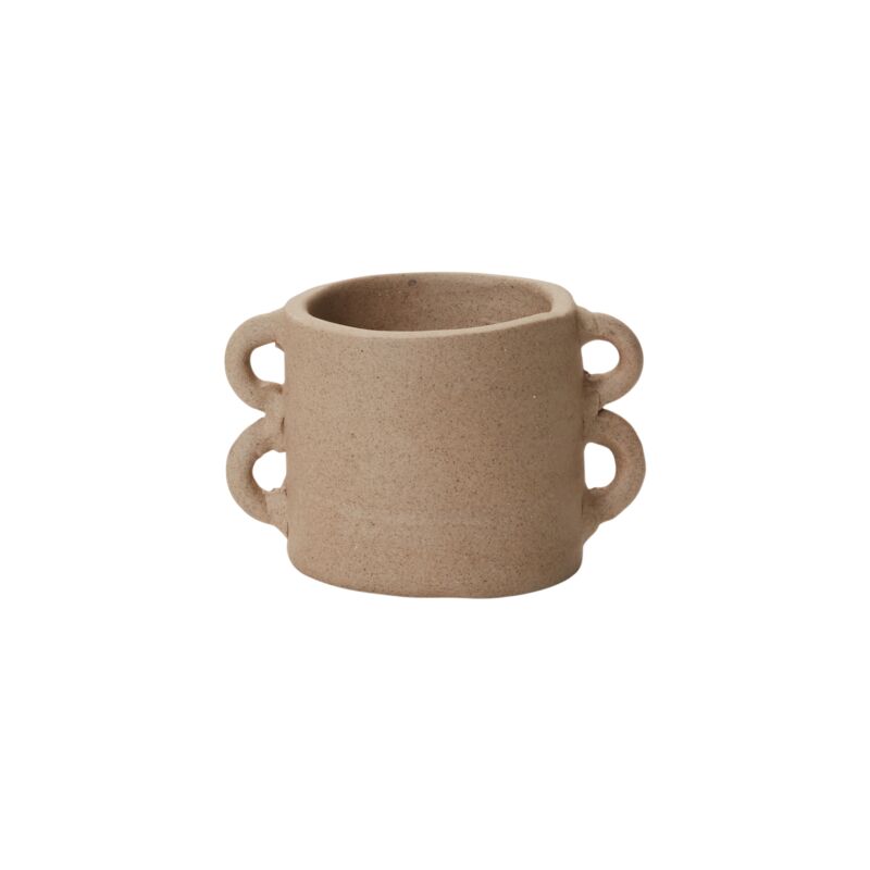 Pot Cassia