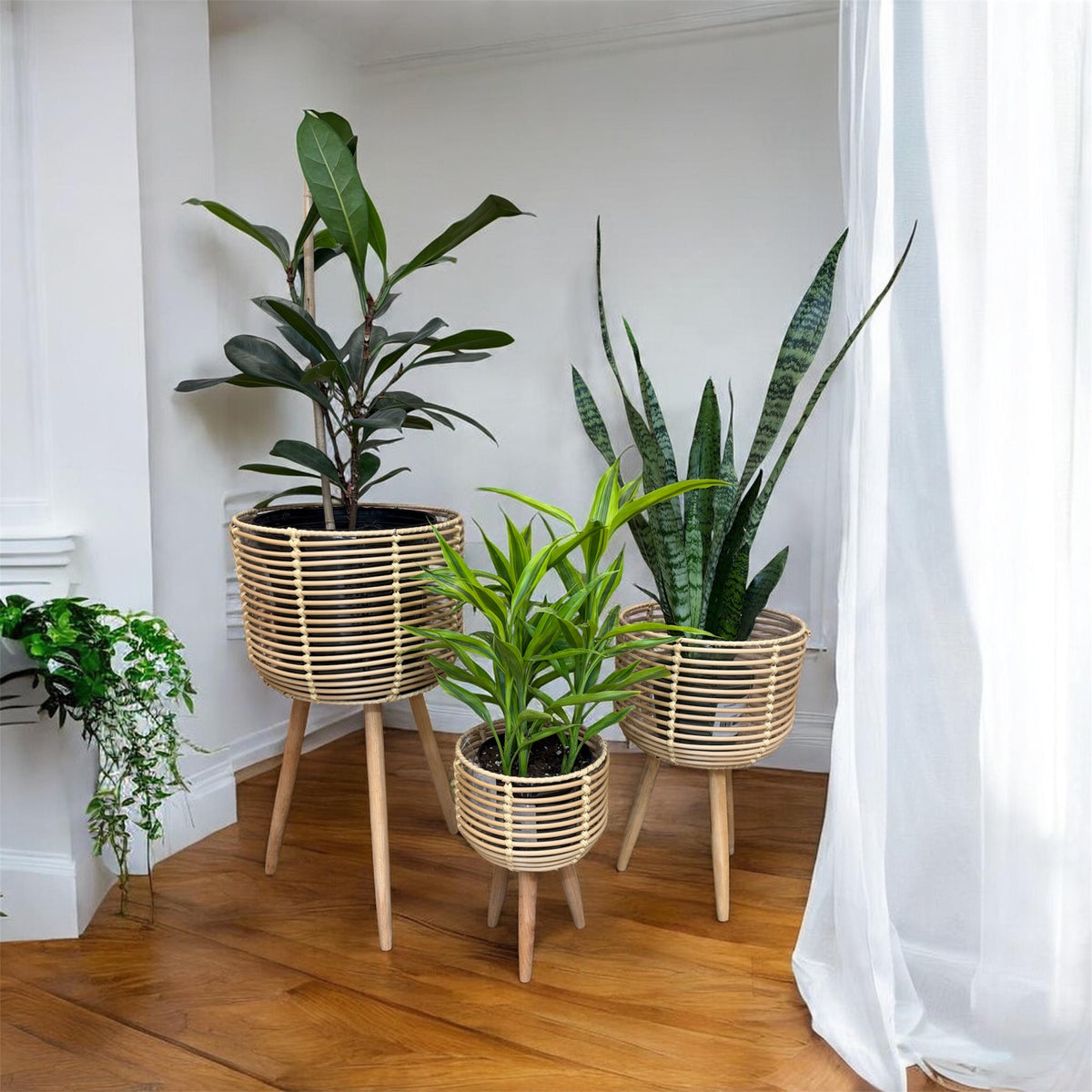 Panier woog led Rattan