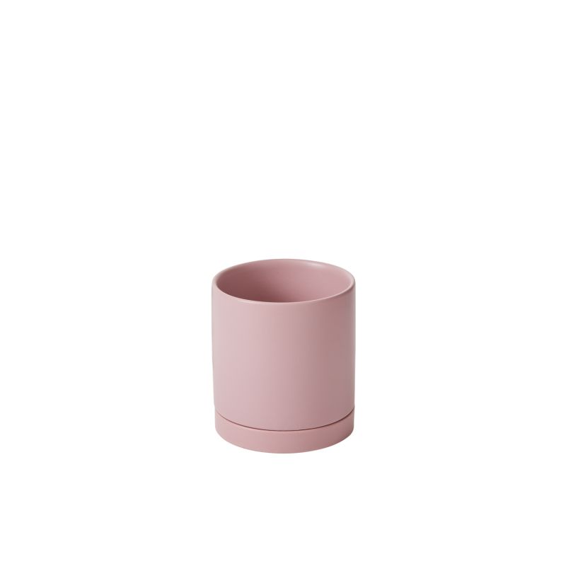 Pot Romey