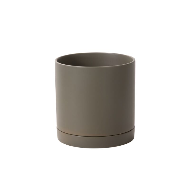 Romey Neutral