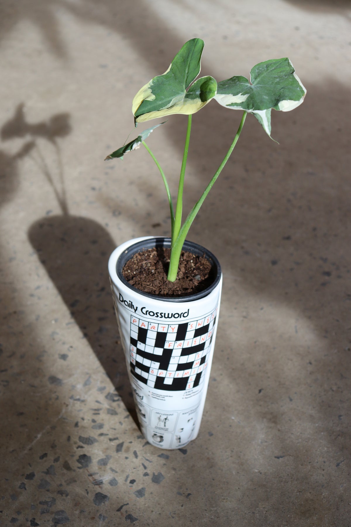 Vase Journal