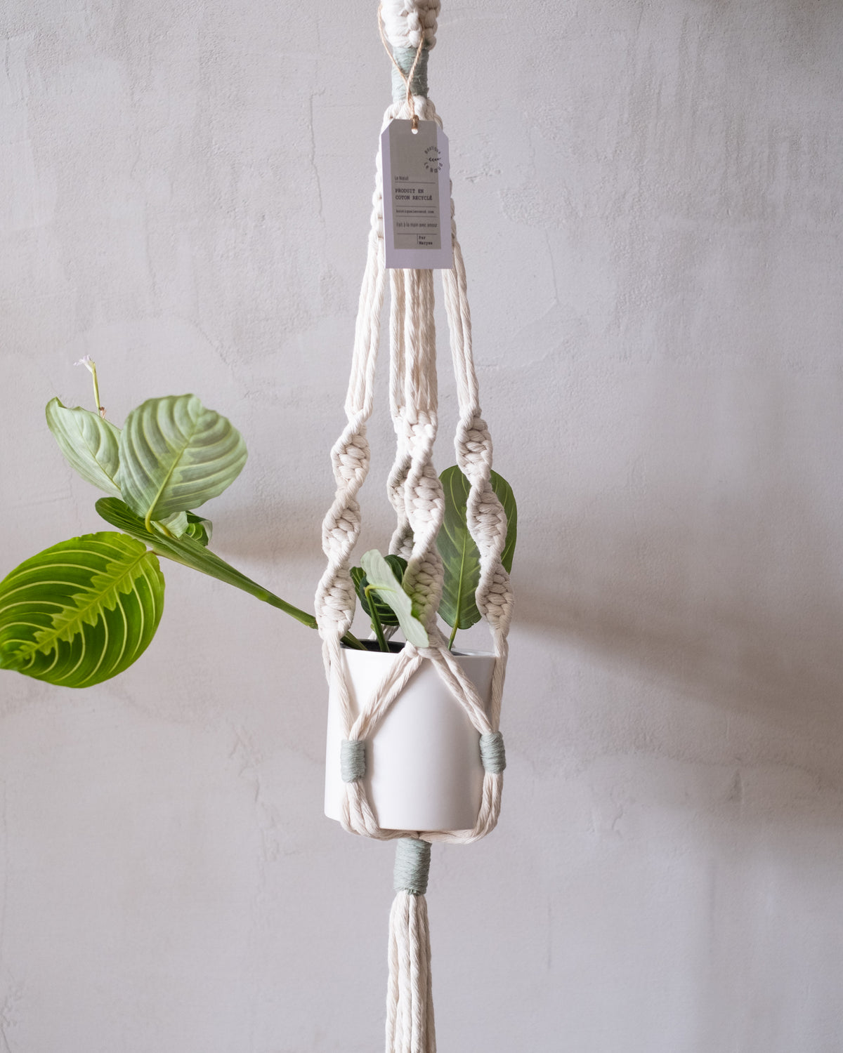 Jardinière en macramé « L'attachante »