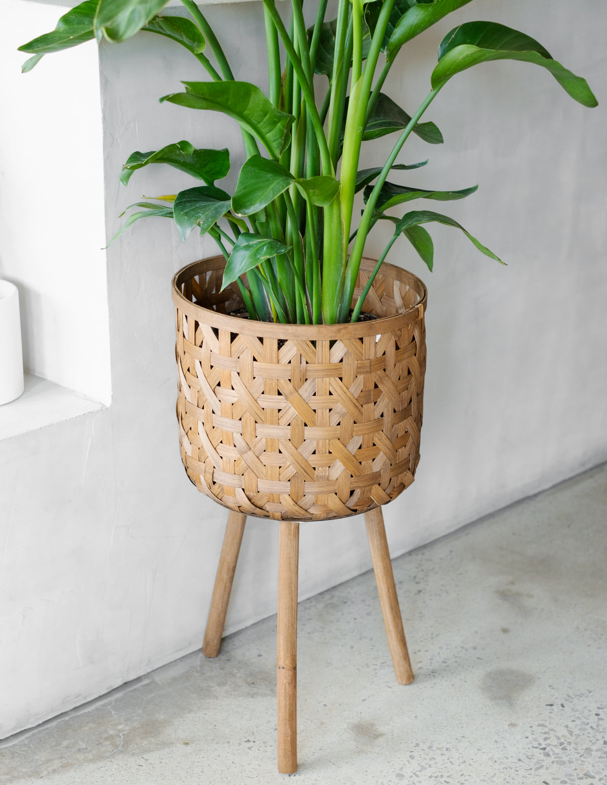 Panier Bam