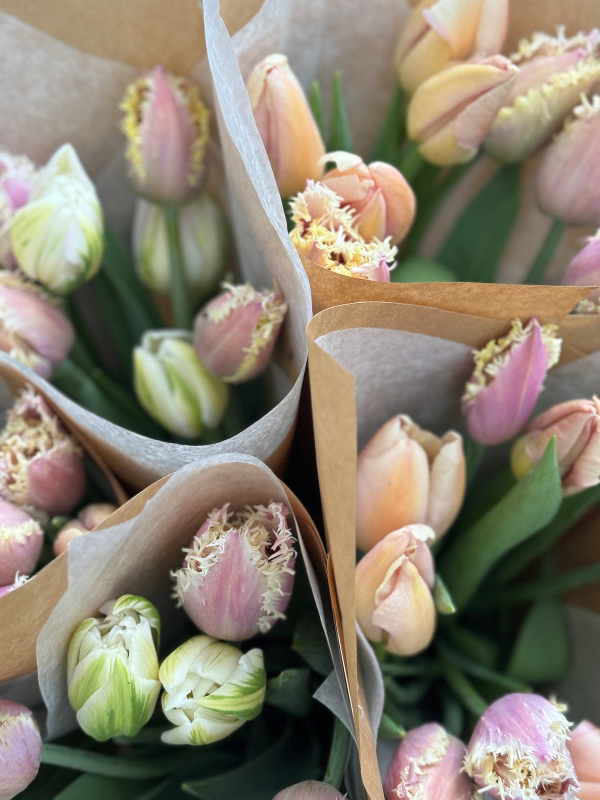 Bouquets Fleuraissance