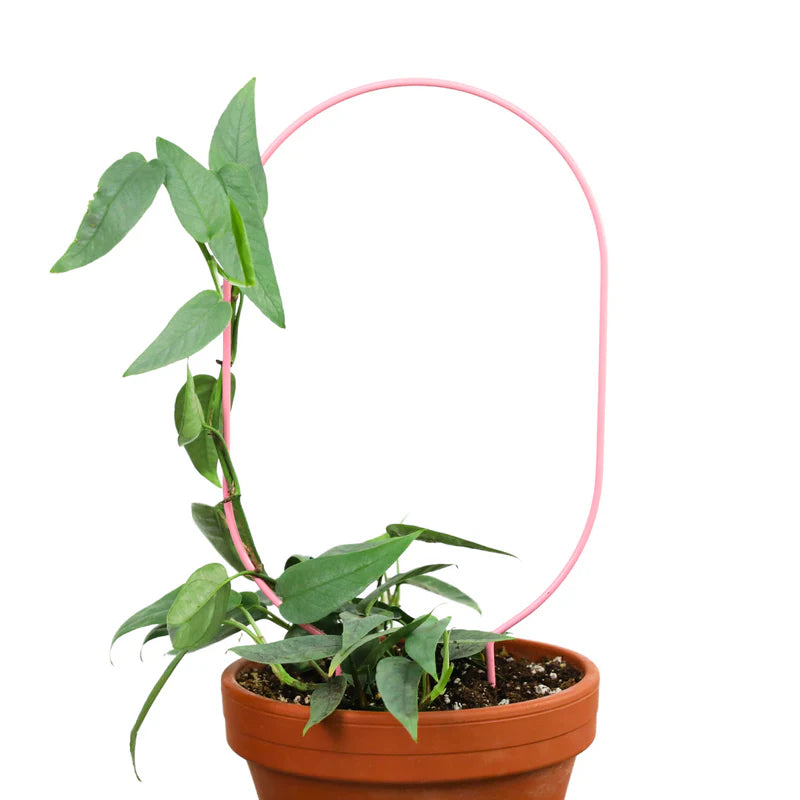 Trellis métal « Mossify »