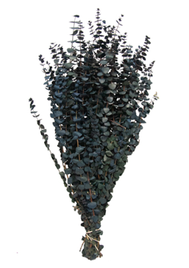 Bouquet de fleurs séchées