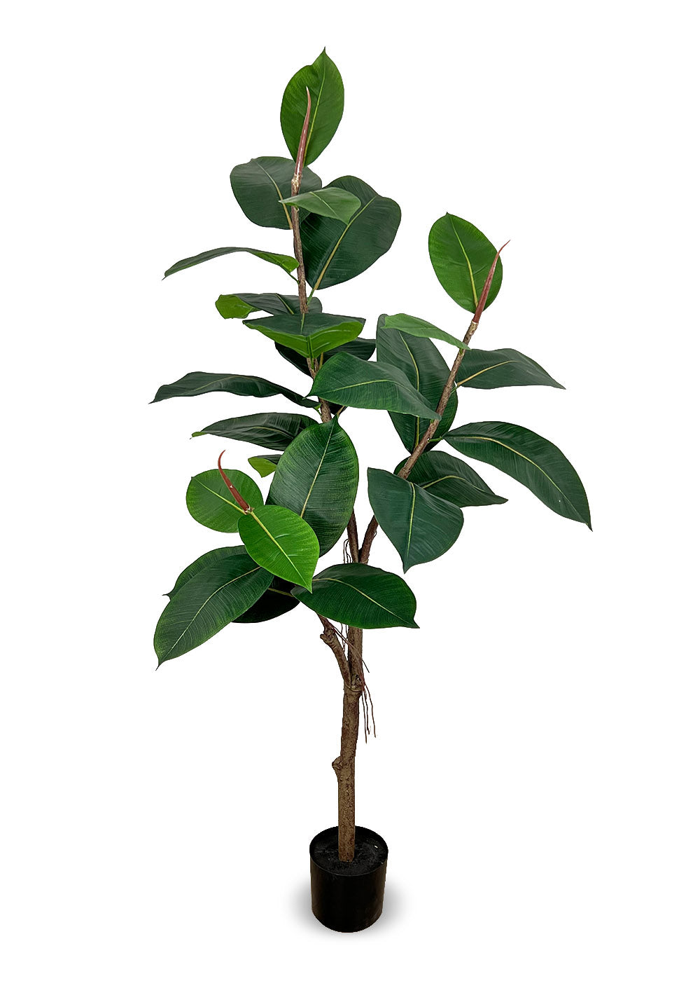 Ficus Elastica Artificiel