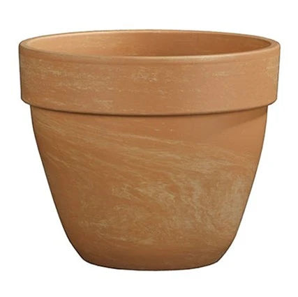 Pot Levante