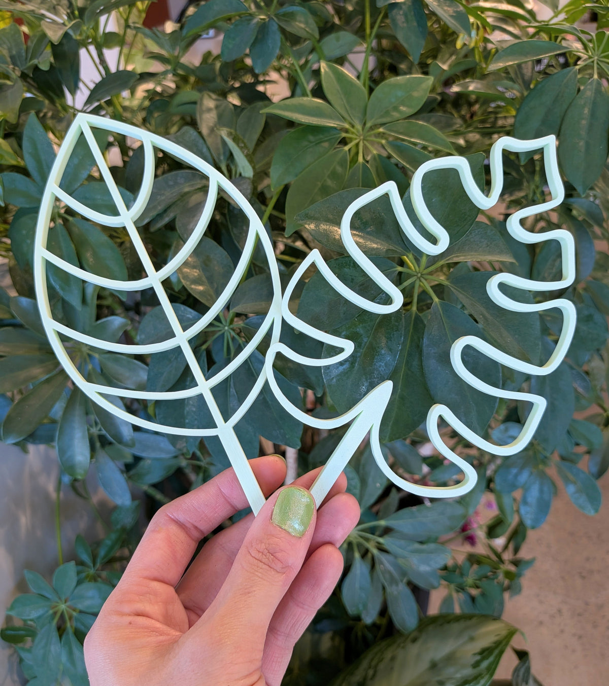 Support à plante