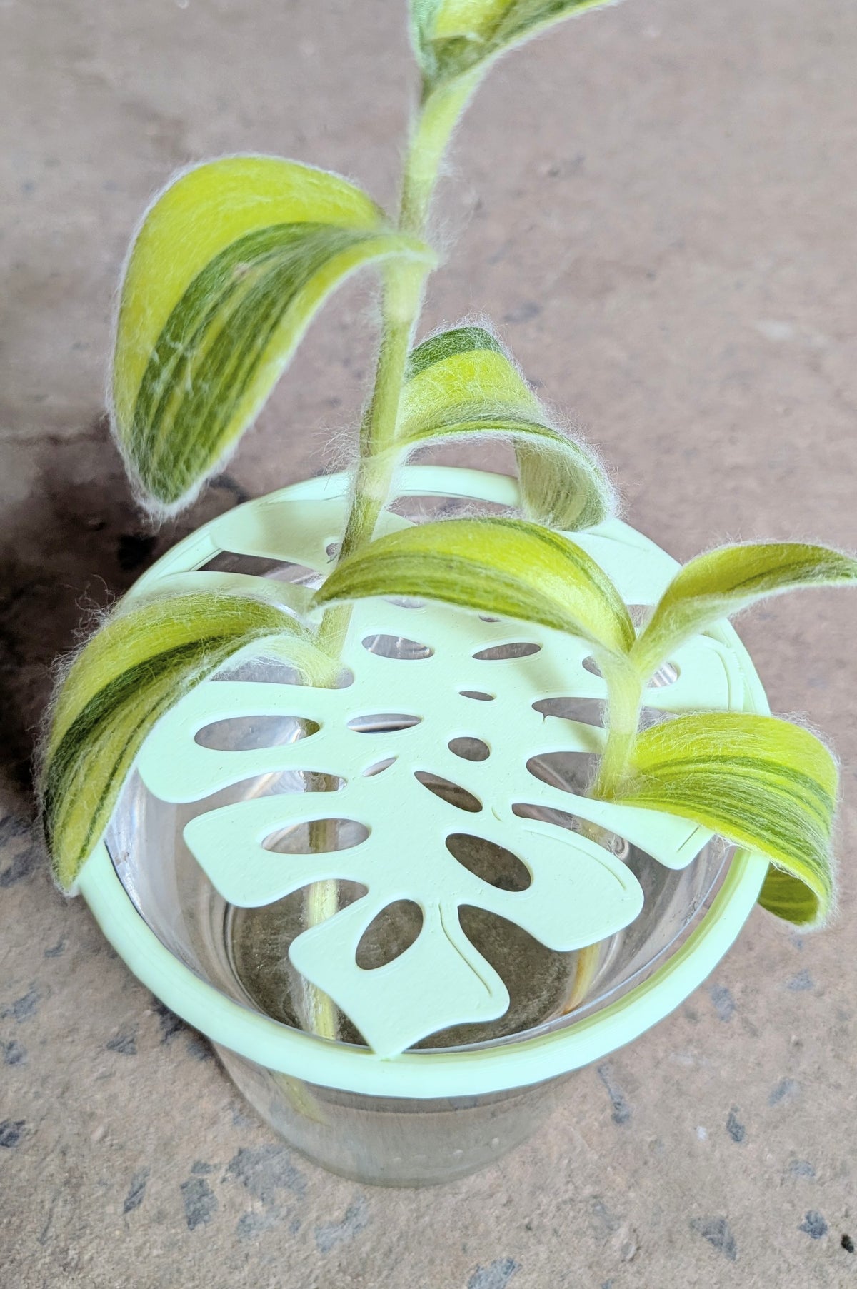 Couvercle de propagation