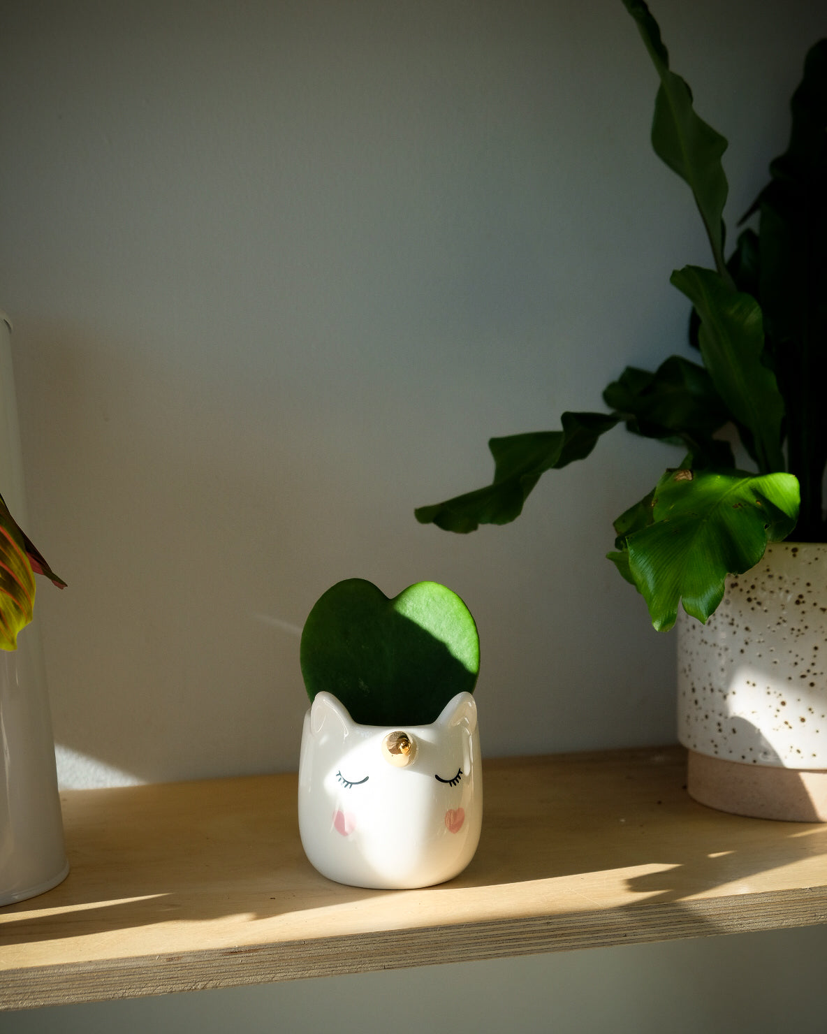 Pot Licorne