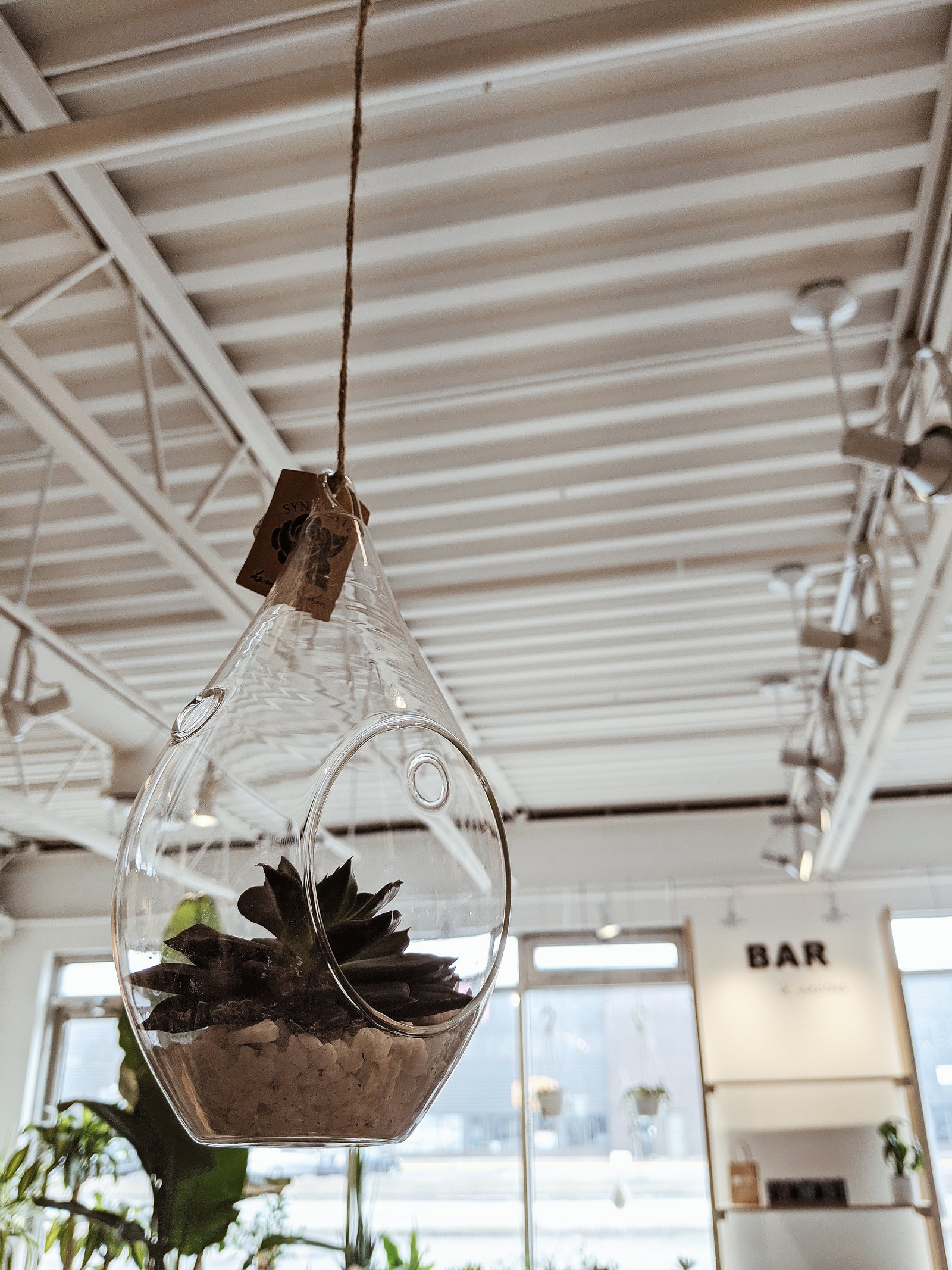 Terrariums suspendus  « Gouttes » 