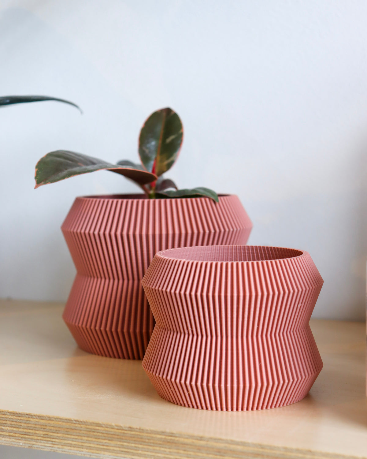 Pot « Le Rayonnant »