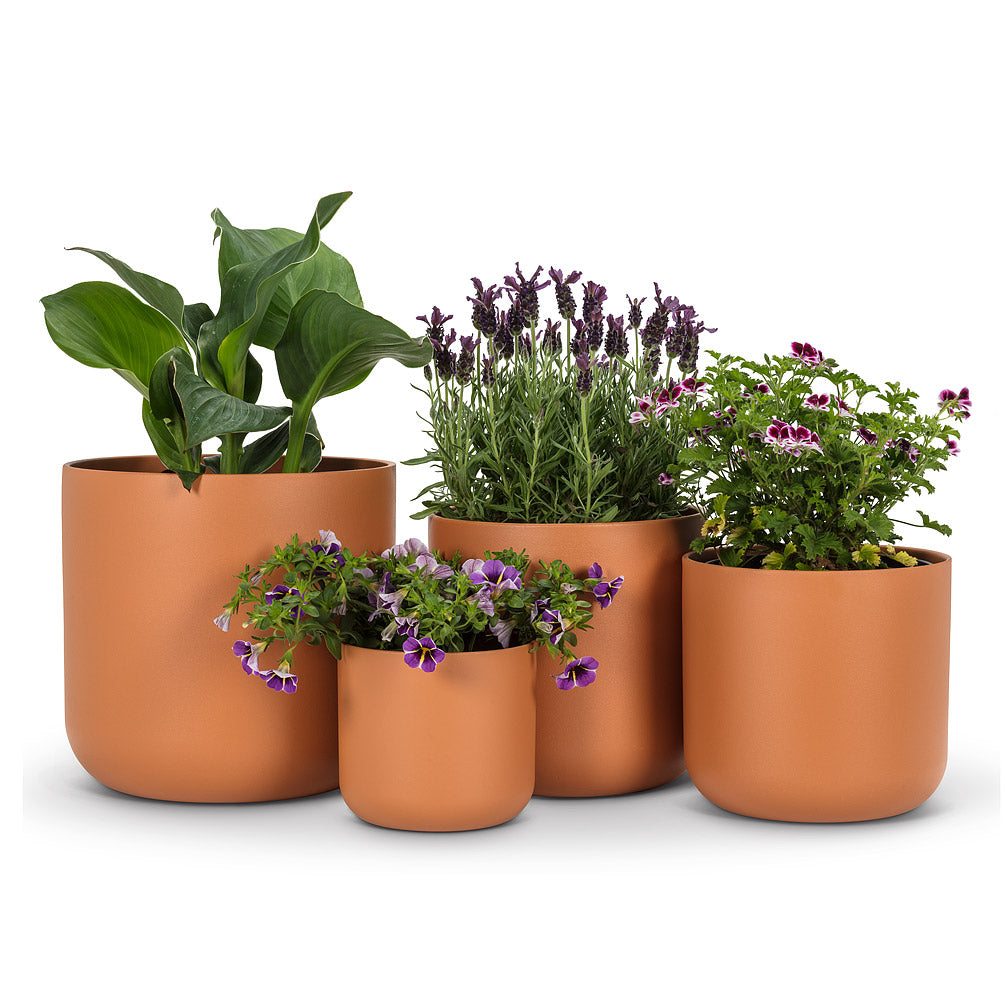 Pot Terracotta