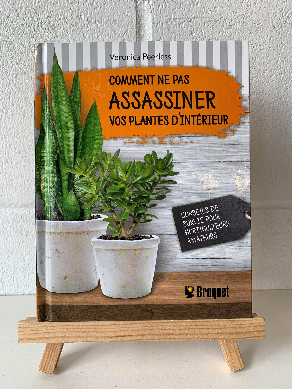 Livre « Comment ne pas assasiner vos plantes d&#39;intérieur »