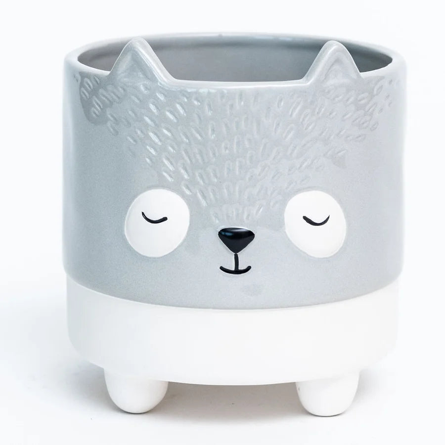 Pot Renard