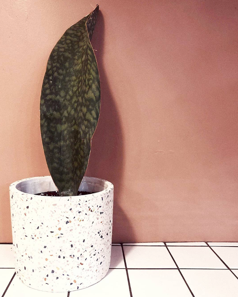 Pot Terrazzo