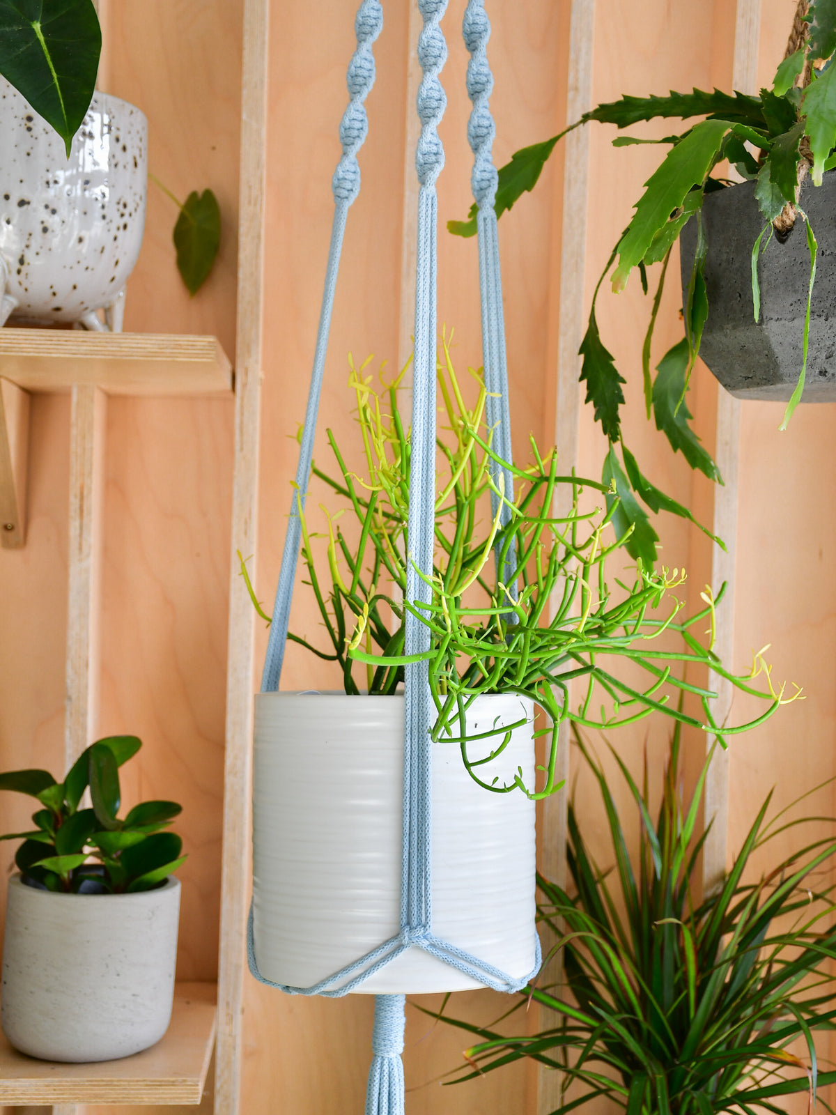 Jardinière macramé « Les Loleries » 
