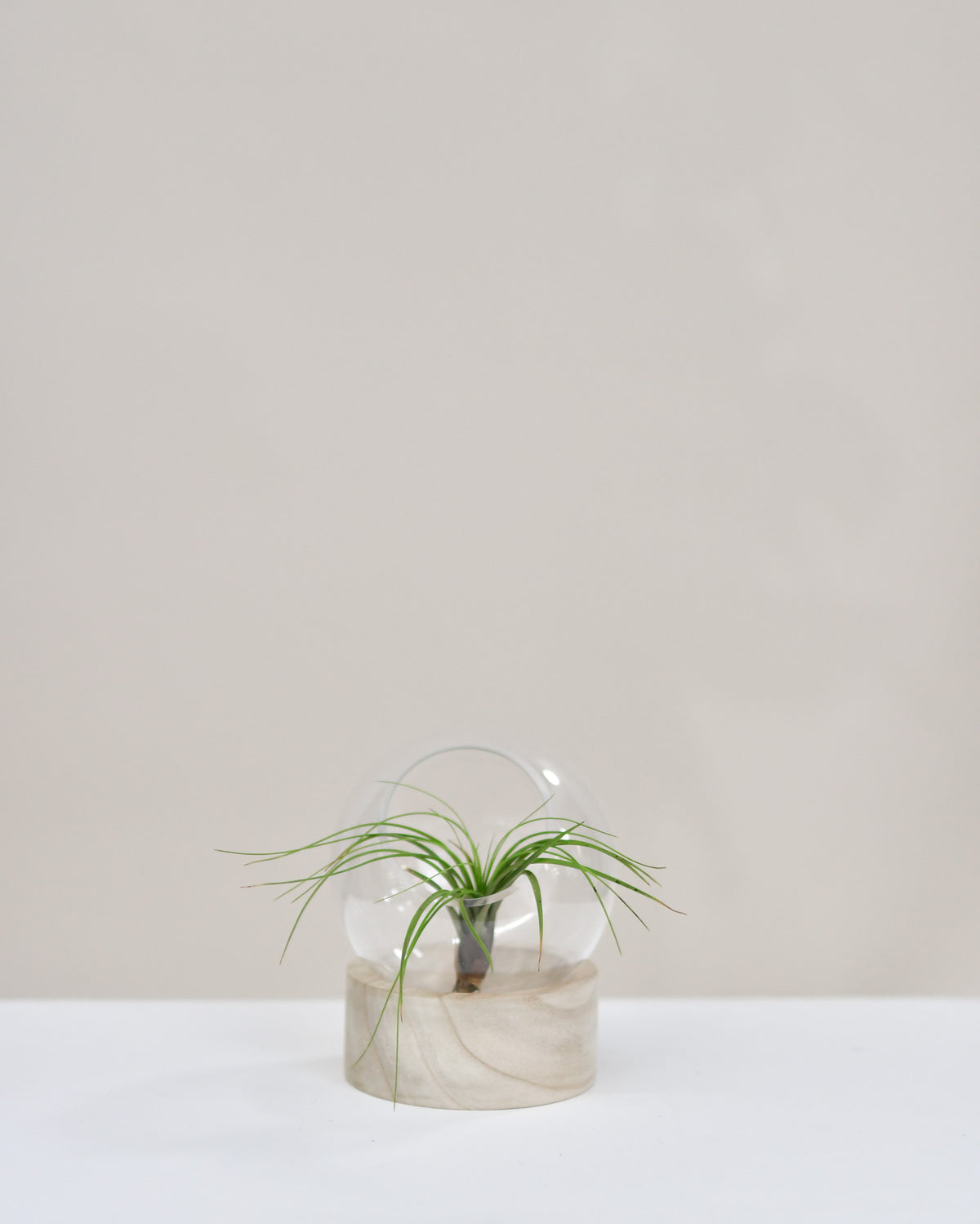 Vase avec base en bois