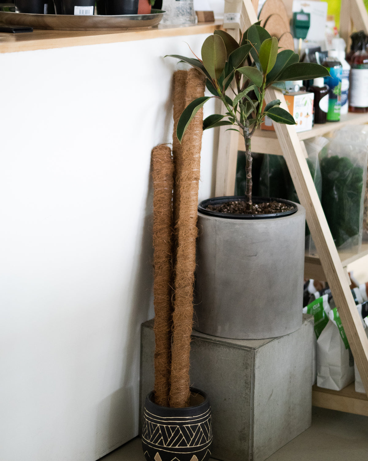 Tuteur de fibre de coco