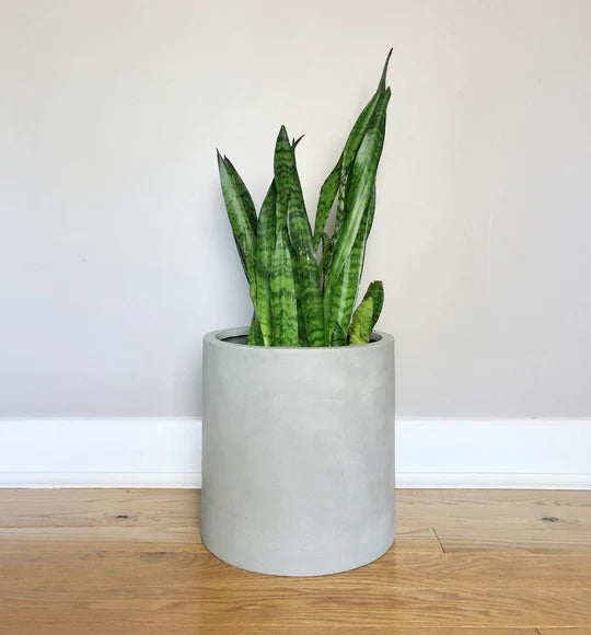 Pot Common House « Cylinder »