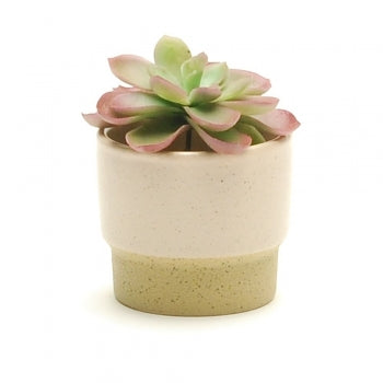 Pot Blush