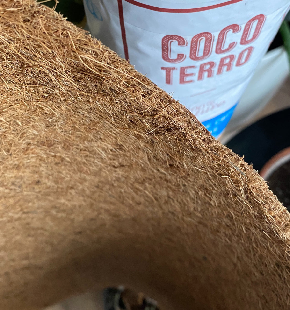 Rouleau de coco