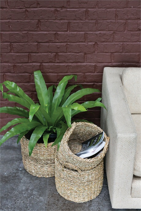 Panier Hacienda