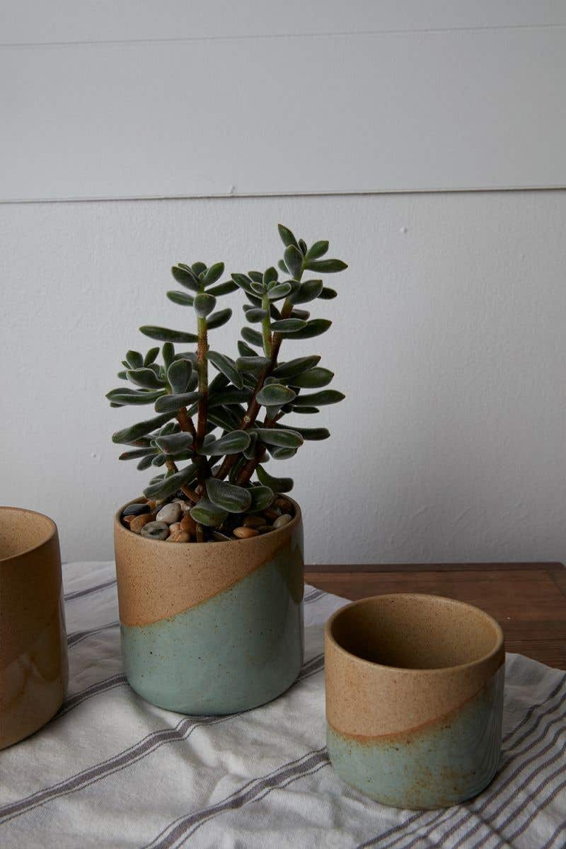 Pot Marbella