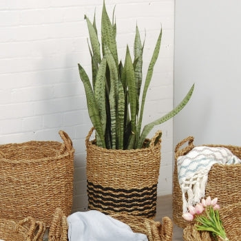 Panier Seagrass